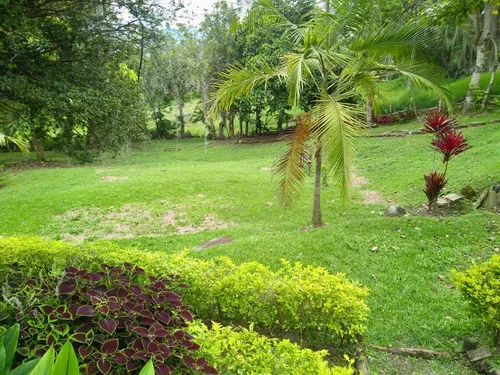 Vendo Acogedora Finca De 2.000 M² Para Descanso A 10 Minutos Titiribí