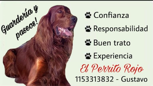 Guardería Y Pensión Canina  El Perrito Rojo 