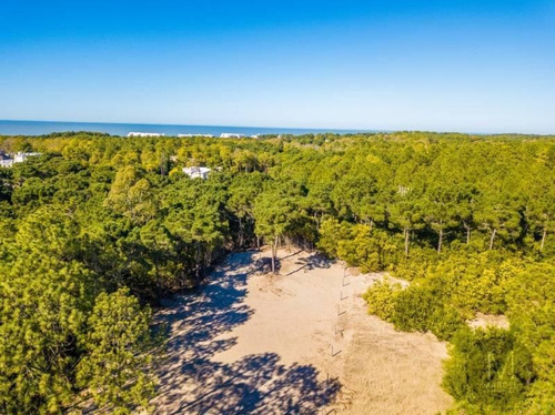 Imagen 12 de 13 de Lote En Venta - Pinamar Norte - A Metros De La Frontera