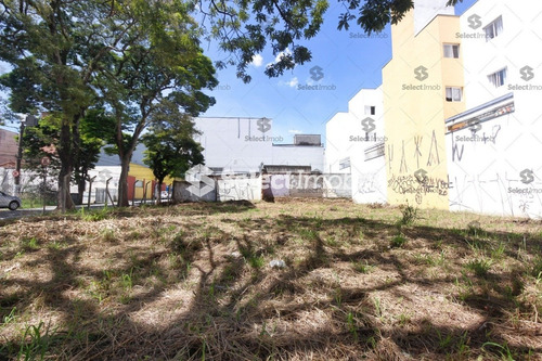 Terreno - Vila Magini - Ref: 1773 - L-1773