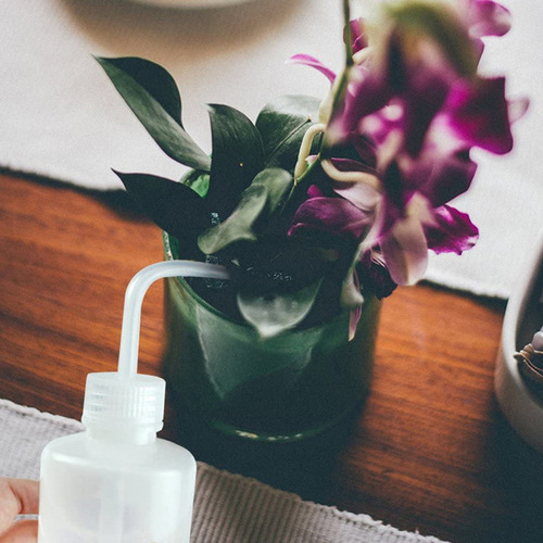 Botella D Riego Para Plantas Suculentas De 250 Ml (embalaje)