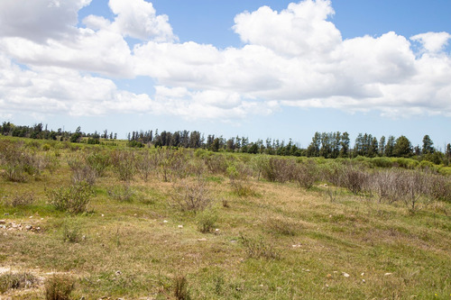 Venta Campo 20 Has