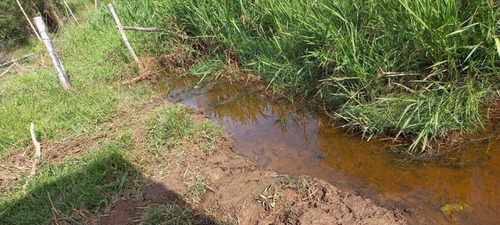 Imagem 22 de 30 de 03o-terreno A Venda Em Igarata