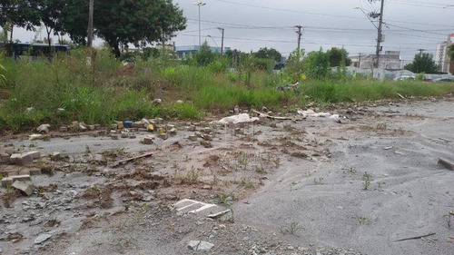 Terreno Para Alugar, 7300 M² Por R$ 70.000,00/mês - Vila Sacadura Cabral - Santo André/sp - Te1009