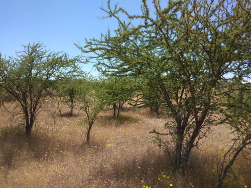 Se Vende Parcela 5000m2 Terreno Plano
