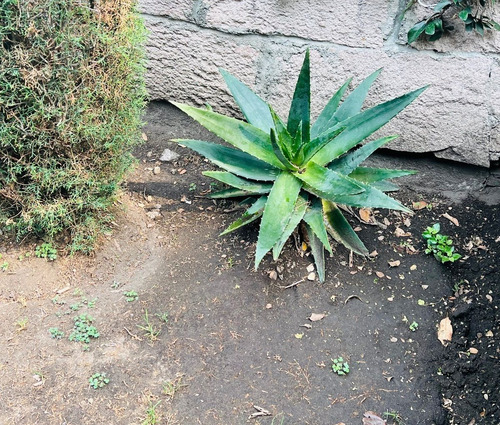 Vendo 2 Terrenos Planos, Las Arboledas, Sección Glorieta Ht527