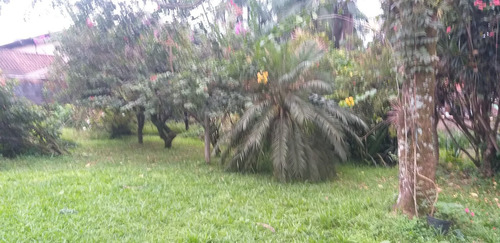 Imagem 7 de 14 de 2 Terrenos Em 1, Com Casa No Bairro Bom Retiro Em Joinville
