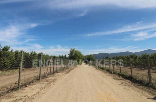 Parcela Las Cabras