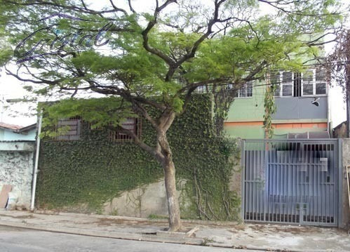 Imagem 1 de 12 de Comercial Para Venda, 0 Dormitórios, Vila Sonia - São Paulo - 21995
