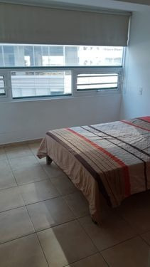 Imagen 5 de 11 de Departamento En Venta En Polanco V Sección
