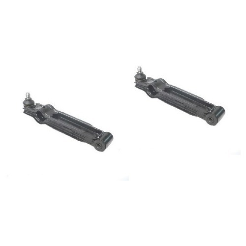 Par Bandejas Susp Inf Lh/rh Suzuki Maruti 1995-2009