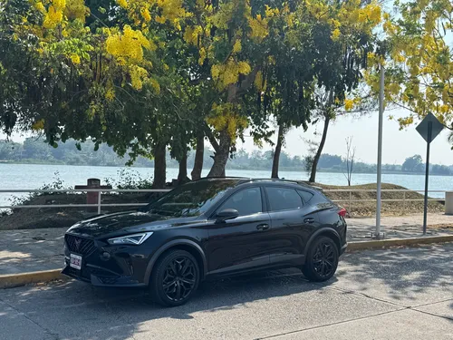 Cupra formentor 2.0 Tribe 310Hp 4Wd Dsg7
