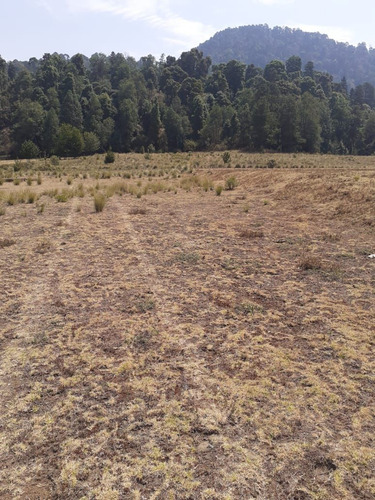 Venta De Terreno En   El Trompillo 