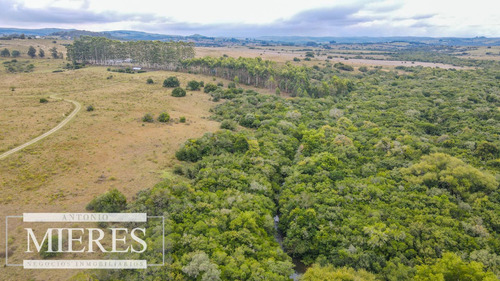 Campo Con Casa E Instalaciones En Pueblo Edén 89ha (ref: Atm-6995)