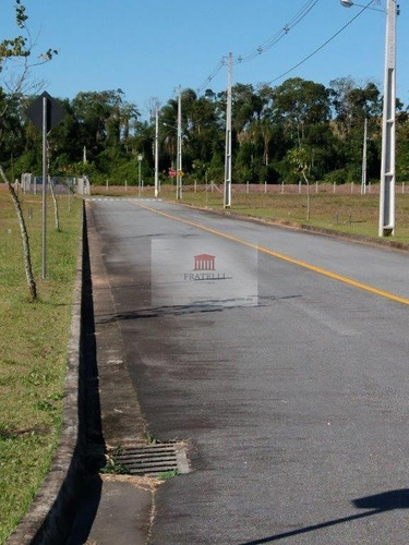 Imagem 1 de 13 de Terreno No Itinga Com 0 Quartos Para Venda, 263 M² - Ft1385