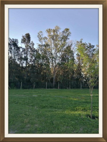 Imagen 4 de 13 de Oportunidad Lote Vista Al Lago Santa Isabel 3 Maschwitz Muy Cerca De Puertos Del Lago