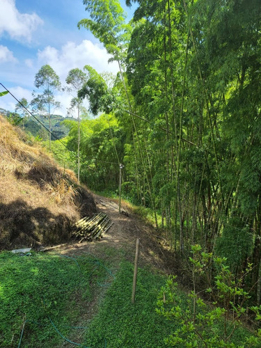 Finca Para Venta En Quiebra De Velez (279025297).