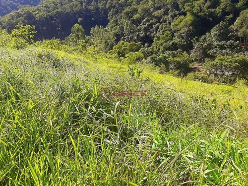 Imagem 1 de 5 de Sítio Com 20 Mil M² Em Córrego Das Pedras - St00212 - 69402408