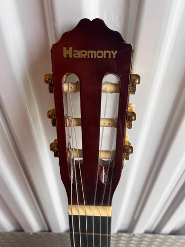 Guitarra Electroacústica Harmony Con Estuché En Dólares