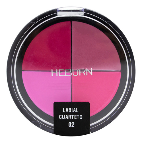 Heburn Labial Cuarteto Maquillaje Profesional Labios Cod 304