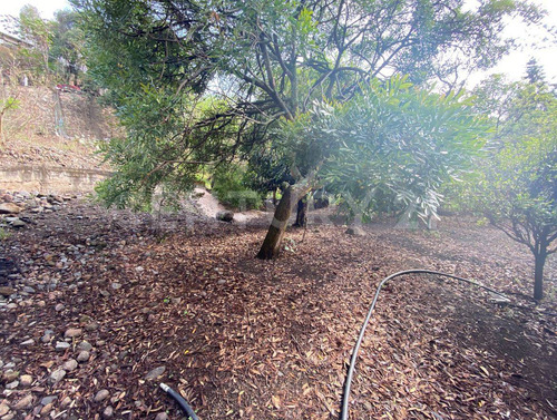 Terreno En Venta, Tlacotepec, Zacualpan De Amilpas, Morelos