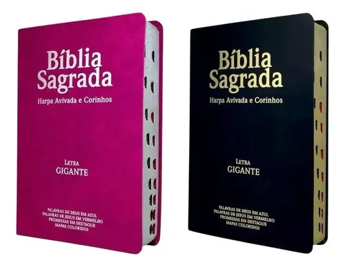 Kit 2 Bíblias Letra Gigante Luxo Popular — ARC (João Ferreira de Almeida)