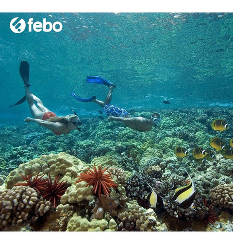 Imagen 3 de 4 de Set Completo Buceo Snorkel National Geographic Tuna44 Febo