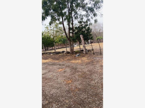 Imagen 8 de 12 de Terreno En Venta Ciudad General Terán