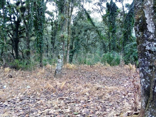 Terreno En Venta, Col. Alcanfores San Cristobal De Las Casas, Chiapas