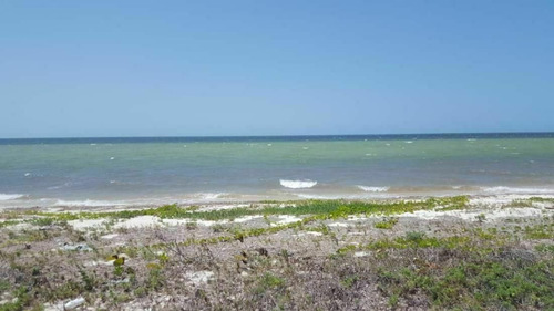 Imagen 6 de 6 de Lotes De Oportunidad En Santa Clara, Yucatan | En Tercera Fi
