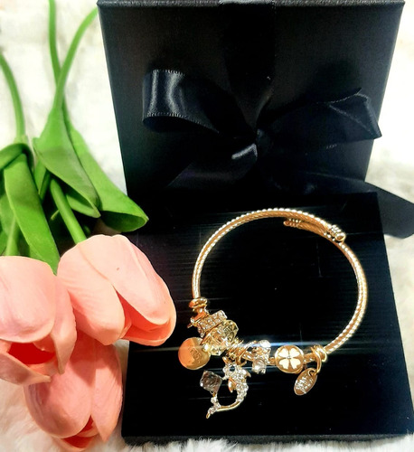 Pulsera Ajustable Con Dijes De Platino Joyería Mujer
