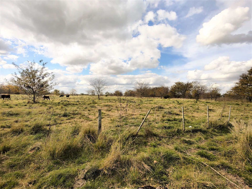 Imagen 15 de 15 de Venta De Campo En Marcos Paz 43 Hectareas