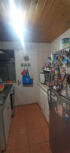 Porvenir Con Las Palmeras