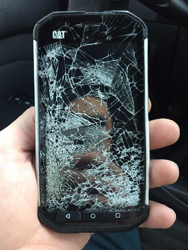 Imagen 1 de 4 de Celular Cat