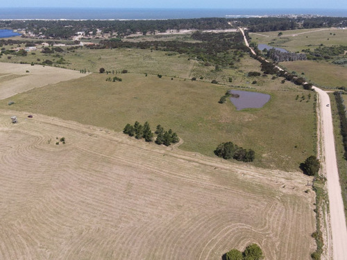 Imagen 10 de 30 de Chacra En Venta, Fraccion De 20 Has En Jose Ignacio (ref: Atm-6766)
