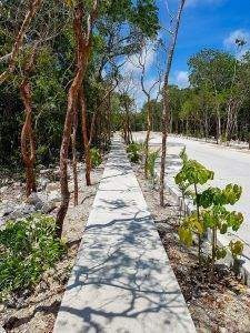 Imagen 8 de 16 de Proyecto De Lotes En Venta Tulum
