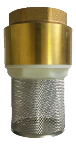 Válvula Fundo De Poço Com Tela Inox 2 Pol Emmeti