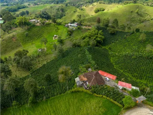 En Venta Finca Cafetera Certificada En Filandia Quindio