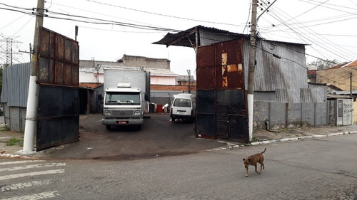 Imagem 5 de 5 de Terreno À Venda, Jardim Modelo - São Paulo/sp - 1300