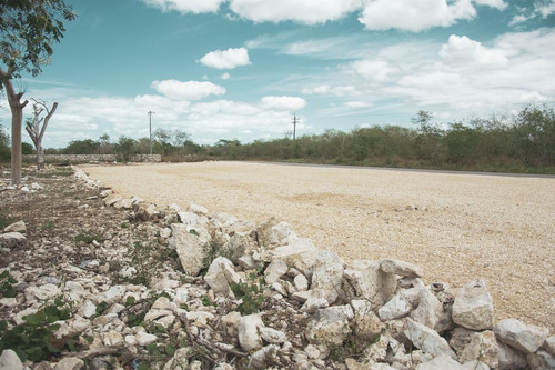 Imagen 1 de 20 de Venta De Terreno Residencial Cerca De La Playa Santa Clara