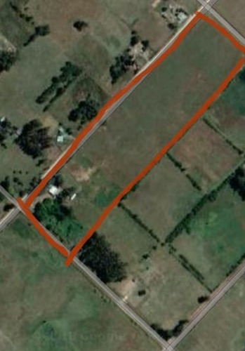 Imagen 12 de 12 de Campo Con Casa En Las Flores ,7 Hectarias,sojero