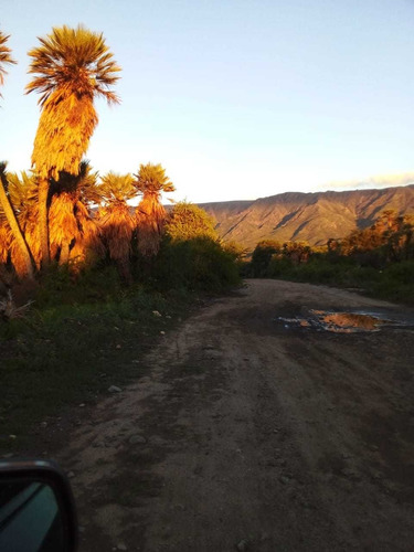 Terreno De 1ha Con Escritura