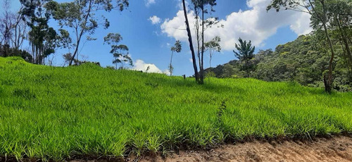 Terras Boa Para Construção Da Sua Chácara - 25 Mil