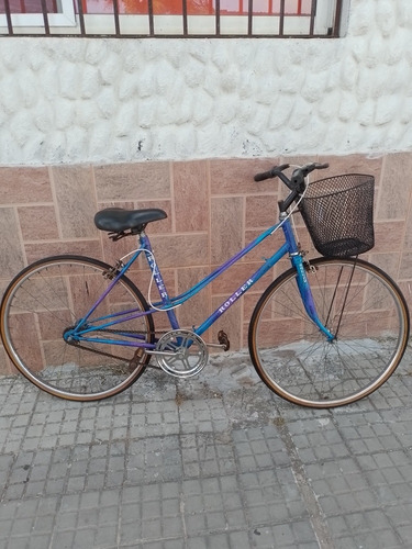 Imagen 3 de 7 de Bicicleta Antigua De Dama