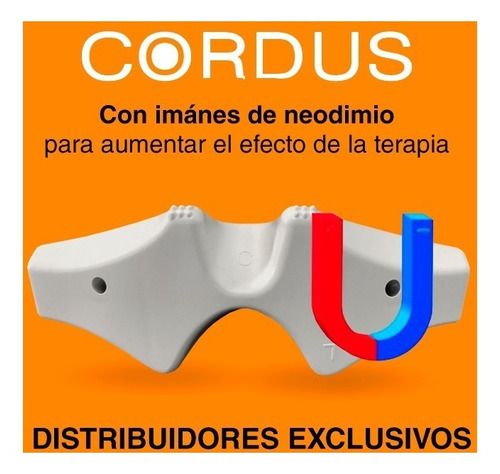 Imagen 1 de 10 de Cordus 12 Cuotas 0% Envío Gratuito A Todo Colombia