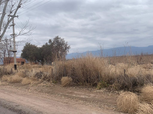 Imagen 3 de 3 de Bodega - Tunuyan