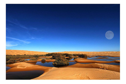 Vinilo 80x120cm Desierto Sahara Atardecer Con Luna Llena