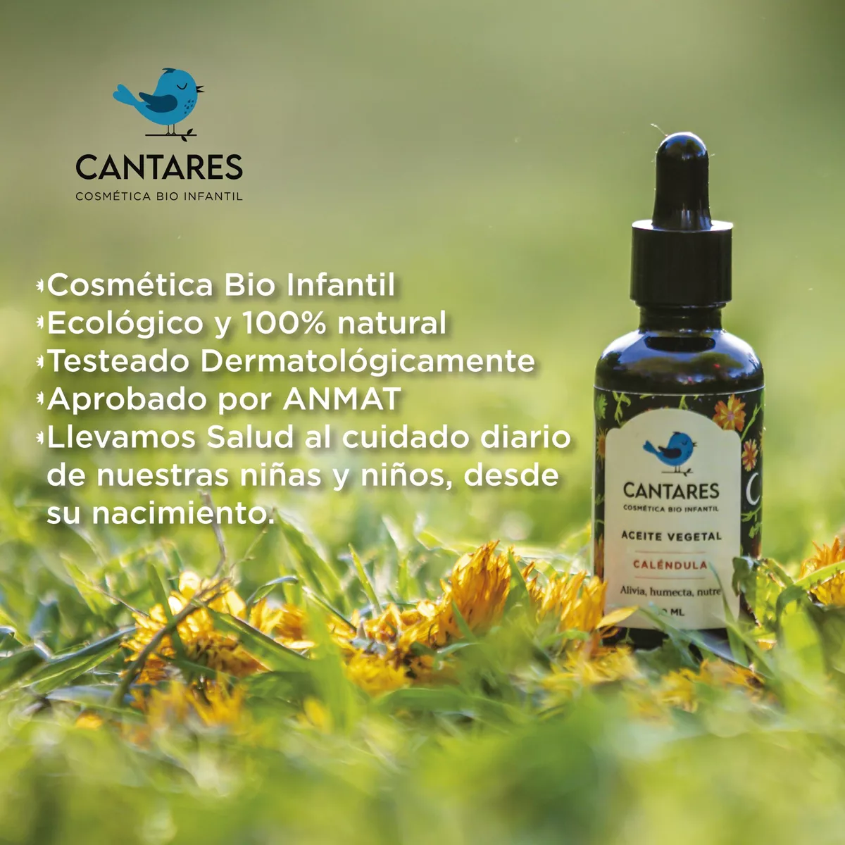 Aceite De Caléndula Natural Puro Organico Cantares 50ml