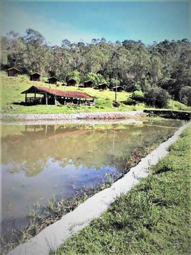 Chácara Com 12 Dormitórios À Venda, 124000 M² Por R$ 1.900.000 - Centro - Biritiba Mirim/sp - Ch0019