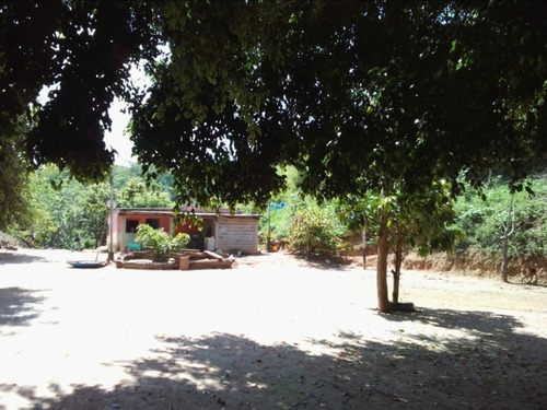 Imagen 1 de 15 de Se Vende Finca En Nirgua Sector Las Palmas / Yaracuy.